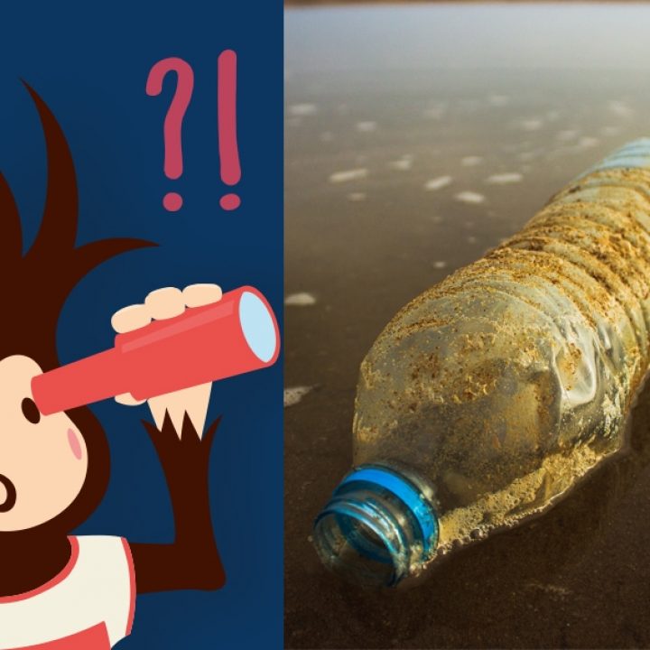 Eine Welt ohne Plastik – ist das möglich?