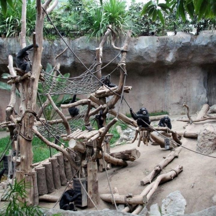 Abenteuerspielplatz PONGOLAND